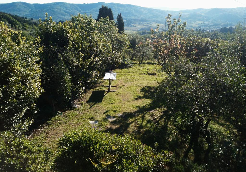 Casa Mezzuola Agriturismo Villa Greve in Chianti Exterior photo